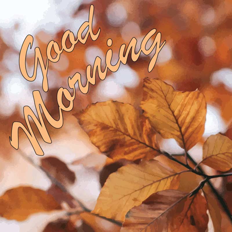 Good morning message written on a brown colored leaf twig