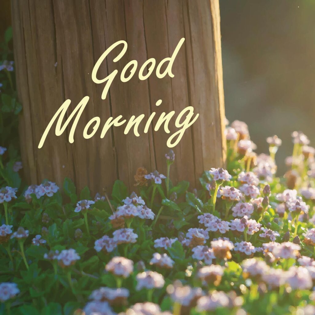 Good morning is written on a wooden background with many flowers around.