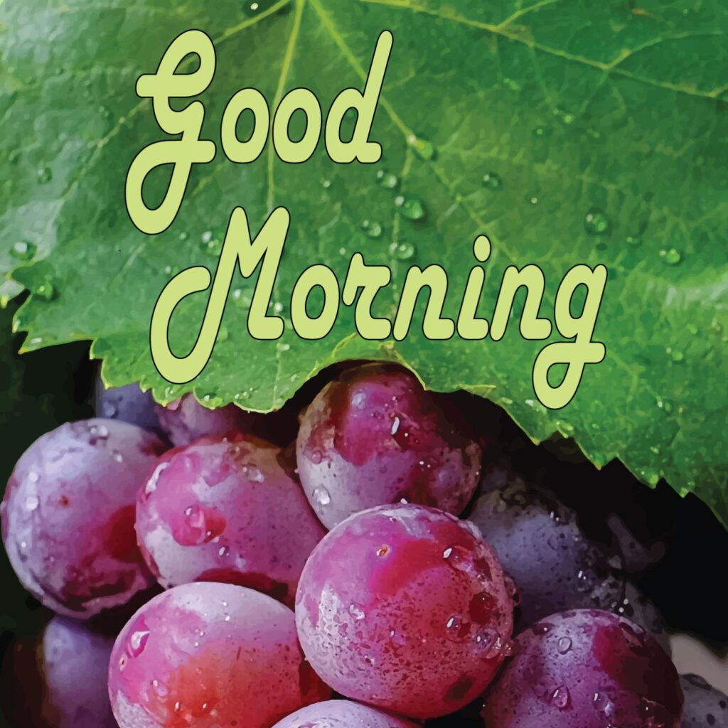 Good morning written on green leaves above red grapes