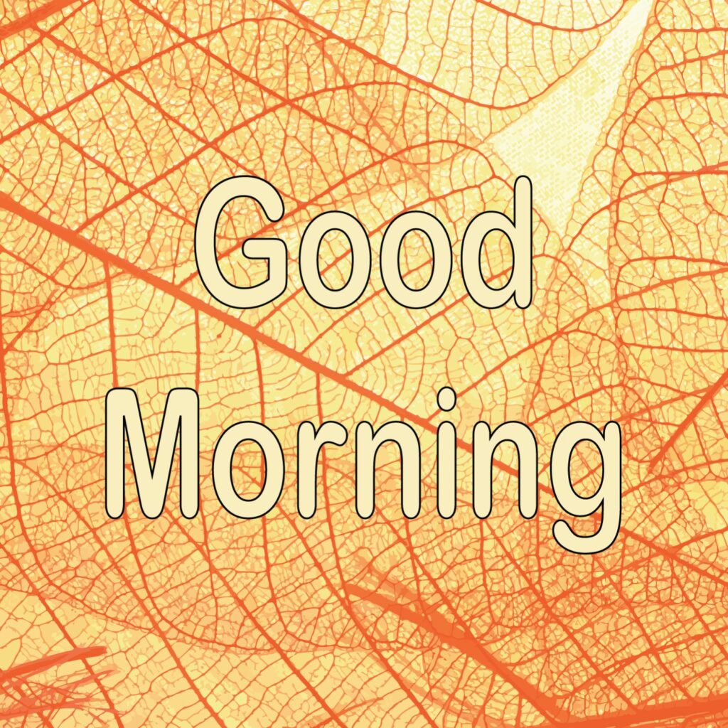 Good morning message written on orange color leaf