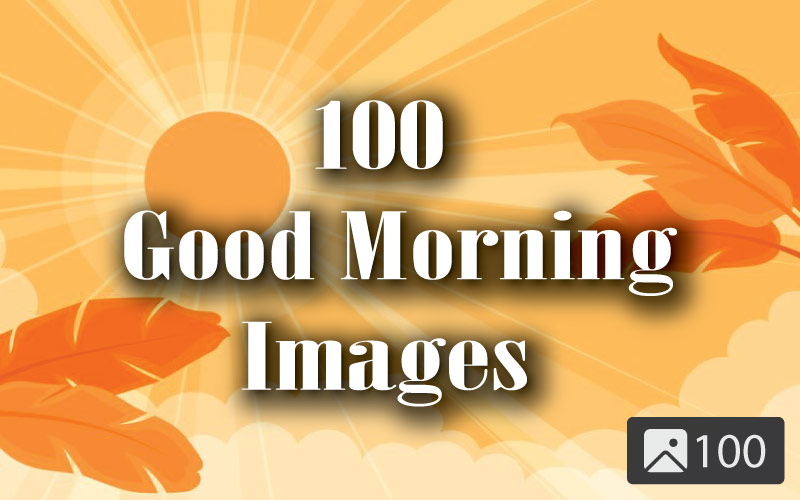 One hundred good morning images