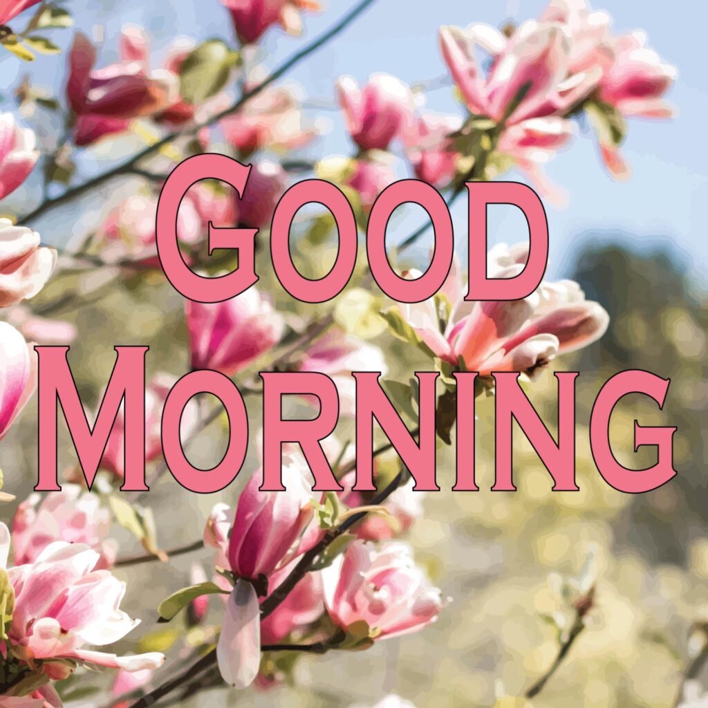 A tree has many pink flowers with good morning written in rose color