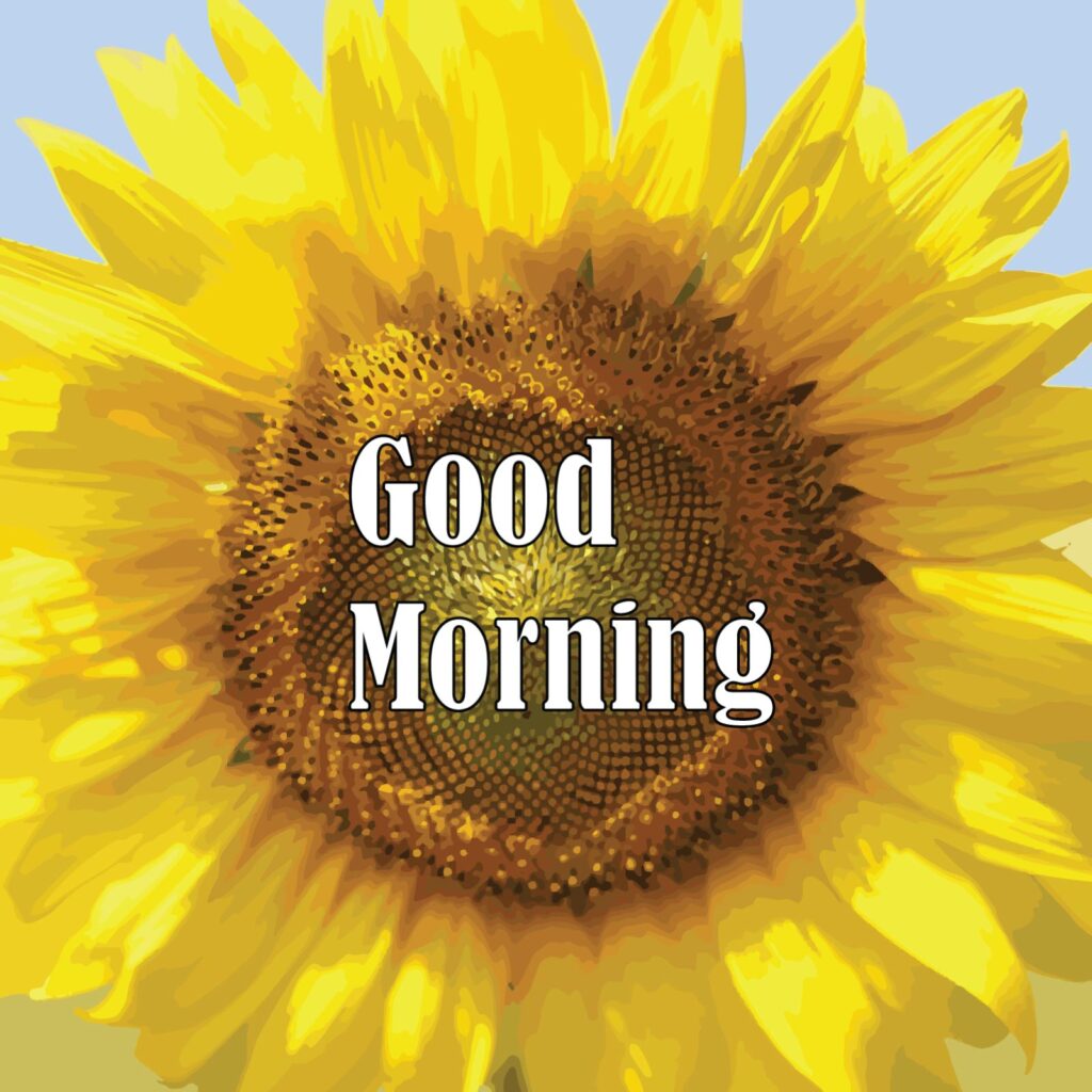 A yellow colored sunflower flower with a good morning message in the center of its petals