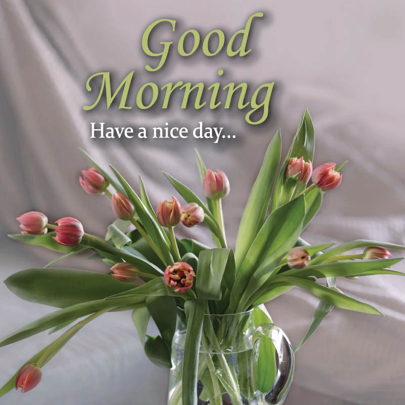 A glass jar contains several tulip flowers with green leaves and a good morning message written on them